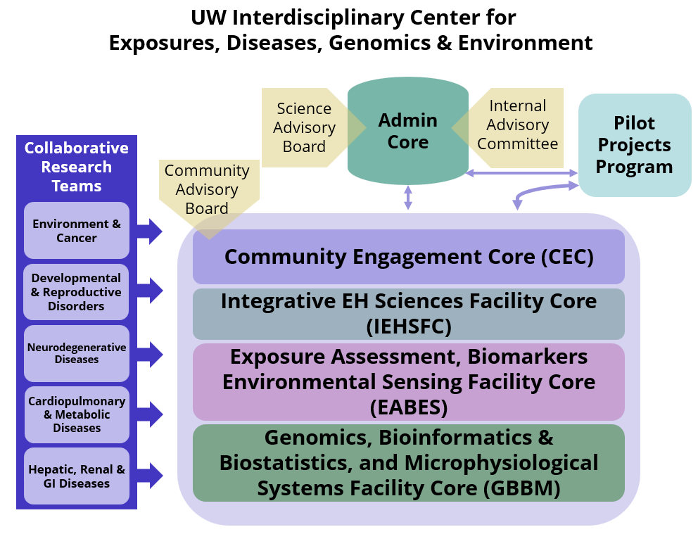EDGE Center structure chart shows the ways the Cores, the Pilot Projects Program, and the Collaborative Research Teams relate to each other. 