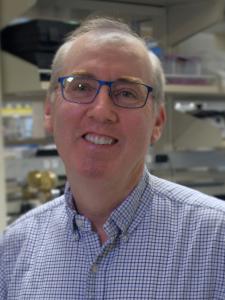 Dan Raftery