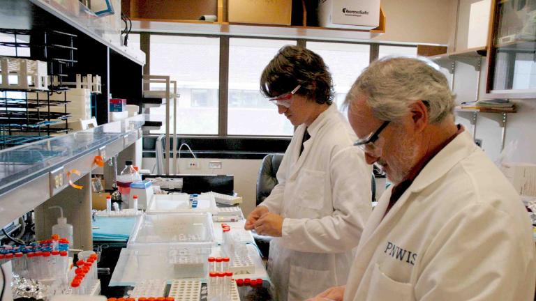 Student and faculty working in lab