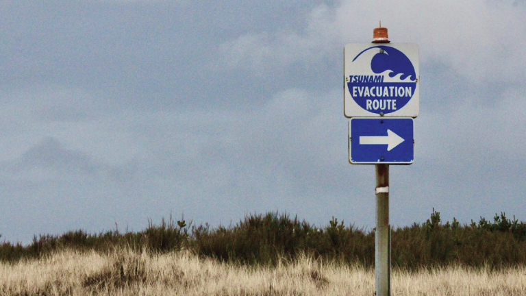 Tsunami warning sign in grass near beach