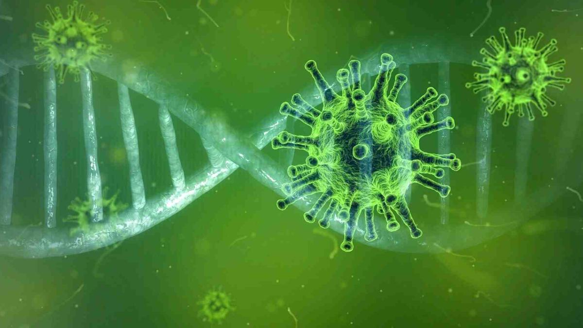 A green graphic of a double helix and spiky coronaviruses.